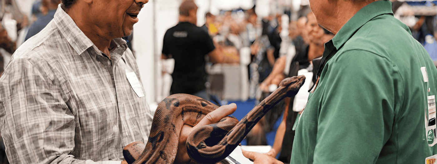 buying a reptile expo