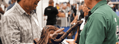 How to Shop for Animals at a Reptile Expo