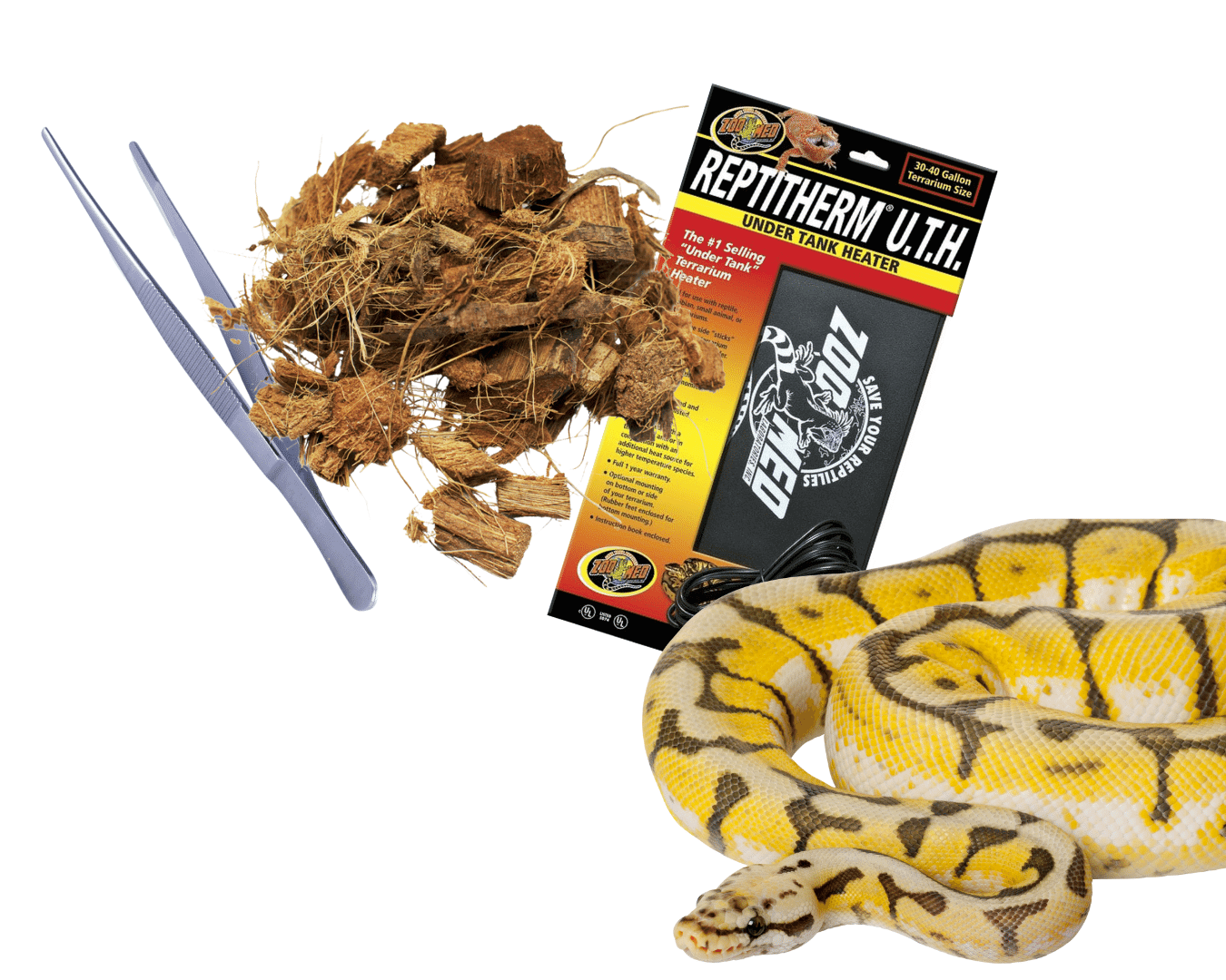 For Ball Python Page 2 IMPERIAL REPTILES & EXOTICS