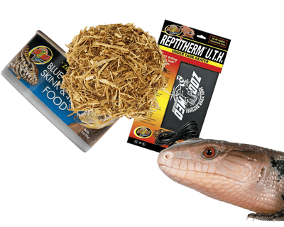 blue tongue skink supplies for sale online at cheap prices, buy reptile products near me