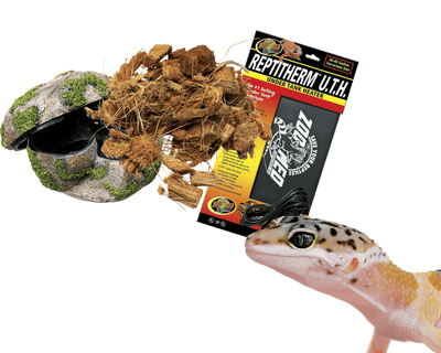 leopard gecko supplies for sale online at cheap prices, buy reptile products near me