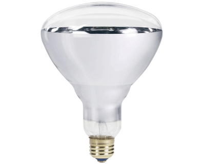 reptile heat bulb for sale online at cheap prices, buy reptile products near me