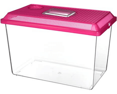 reptile travel container  for sale online at cheap prices, buy reptiles products near me