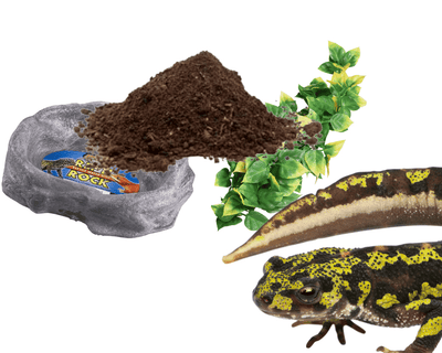 amphibian supplies for sale online at cheap prices, buy reptile products near me