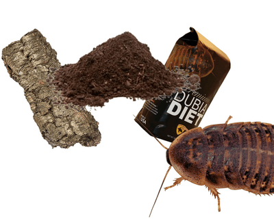 feeder insect supplies for sale online at cheap prices, buy reptile products near me