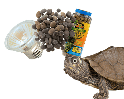turtle supplies for sale online at cheap prices, buy reptile products near me