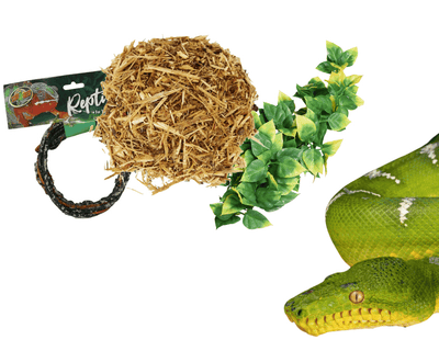 tree boa and tree python supplies for sale online at cheap prices, buy reptile products near me
