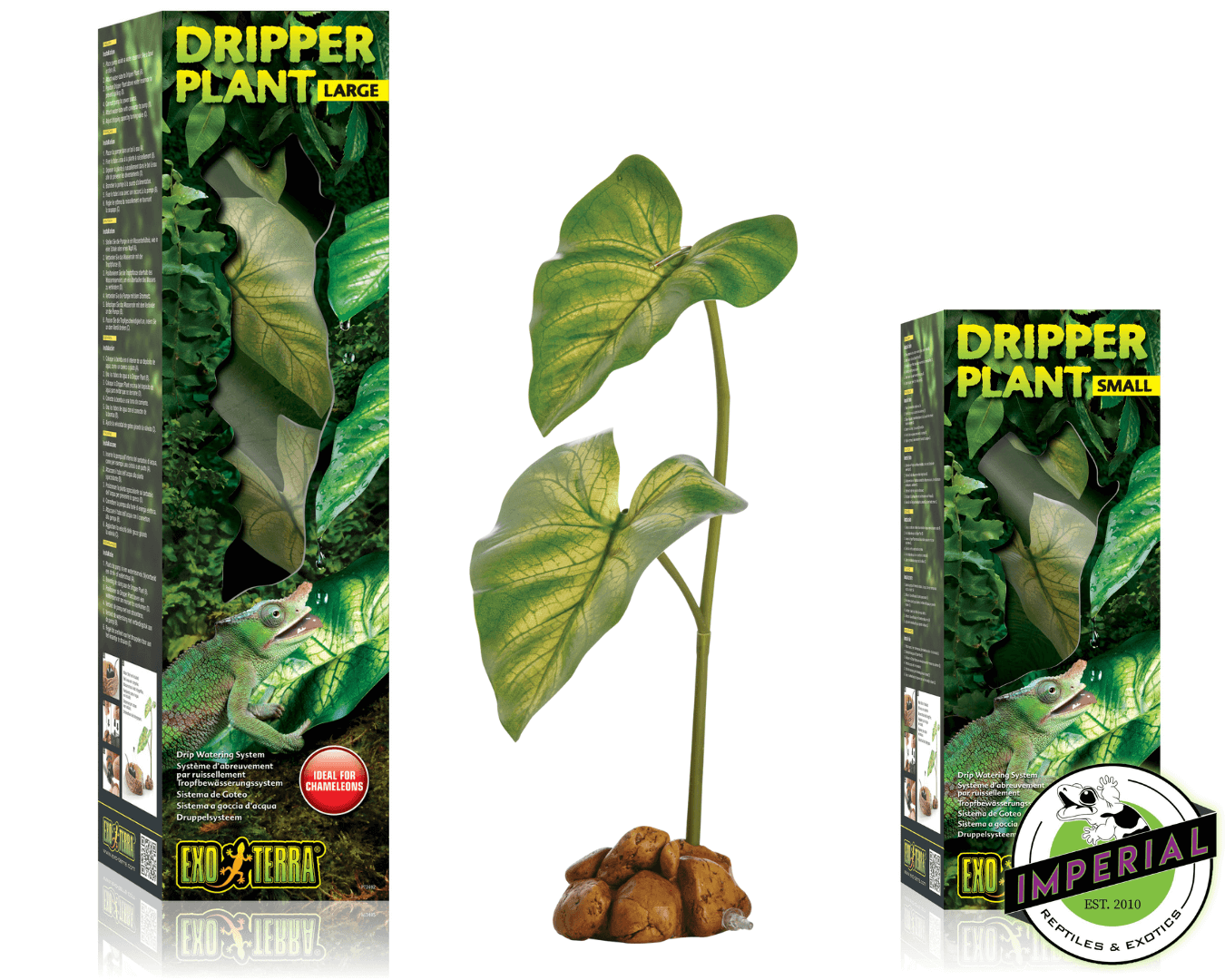 Dripper Plant For Sale Imperial Reptiles IMPERIAL REPTILES & EXOTICS