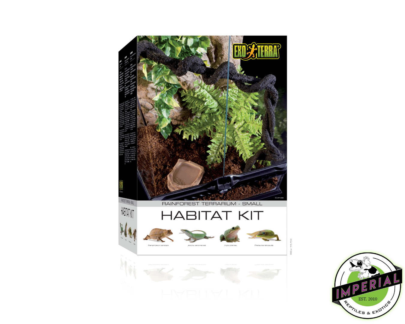 Rainforest Habitat Terrarium Kit For Sale Imperial Reptiles