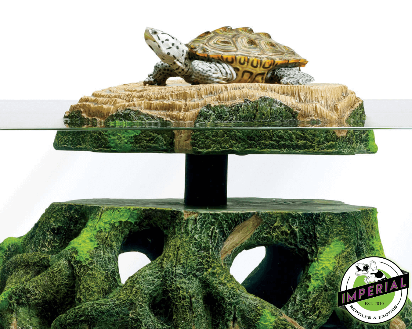 reptile basking platform for sale online, buy cheap reptile supplies near me