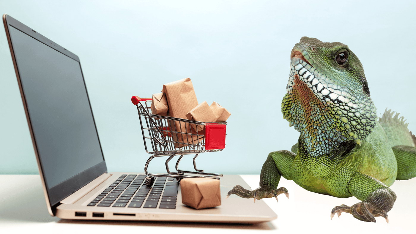 buy reptiles online vs in store