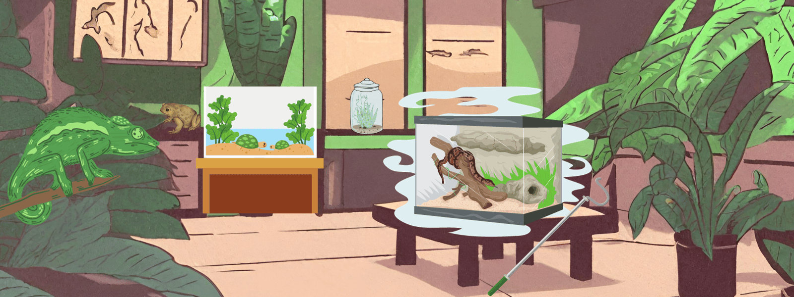 Creating a Kickin' Reptile Room IMPERIAL REPTILES & EXOTICS