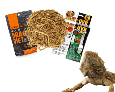 Buy reptile supplies outlet