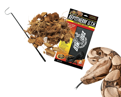 Buy reptile supplies outlet
