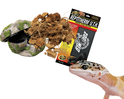 Cheap reptile deals food