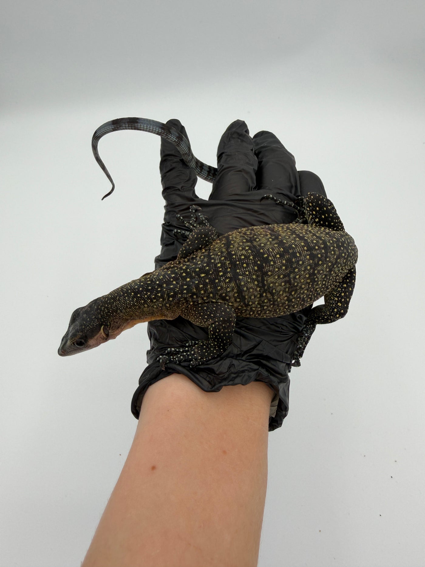 Peach Throat Monitor Baby