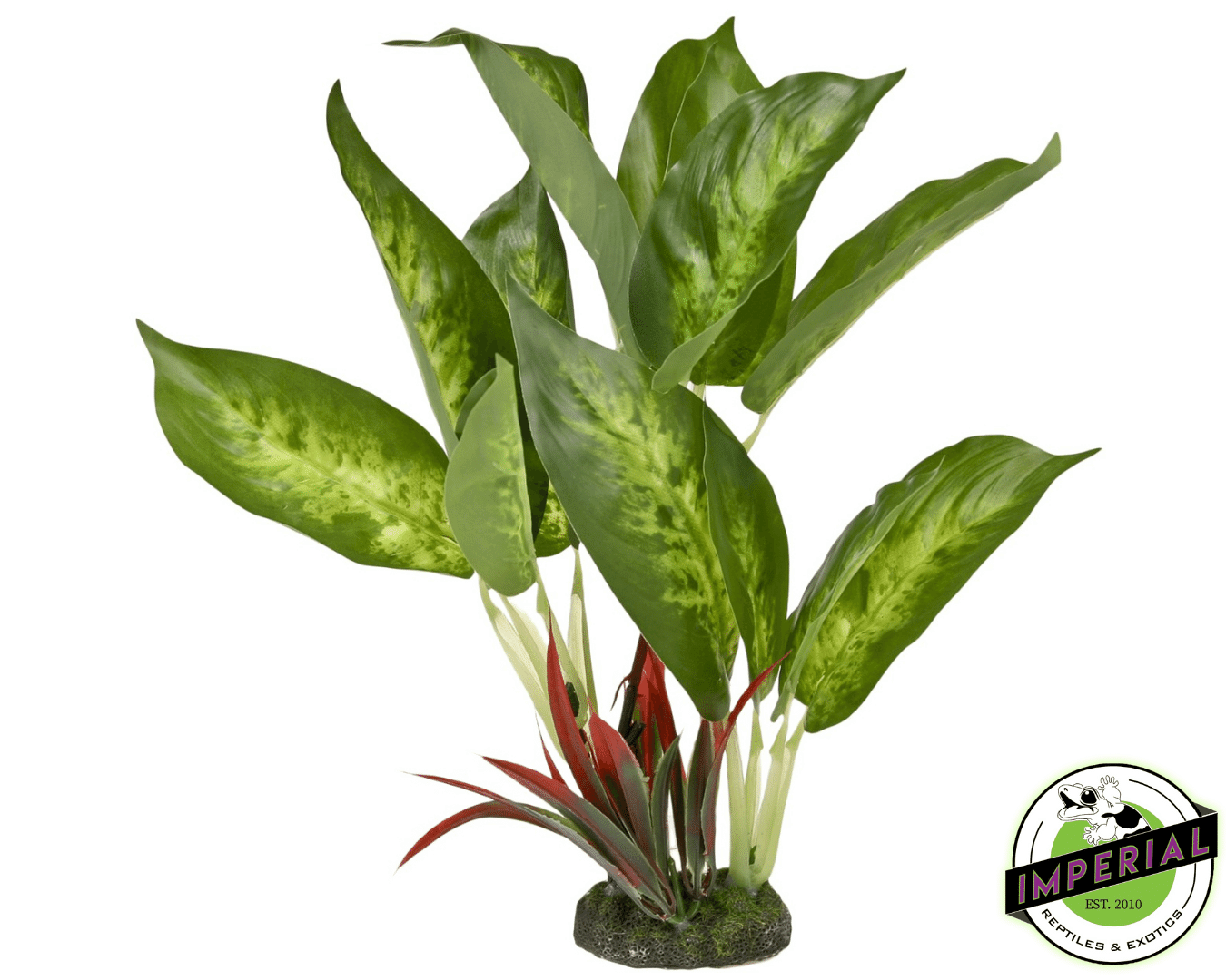 plant foliage for reptile terrariums for sale online, buy reptile supplies near me