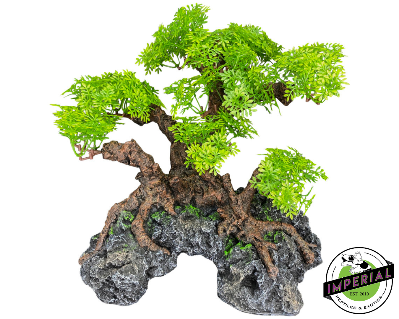 Komodo Bonsai Tree with Hide for sale, reptile supplies for sale, buy reptiles online