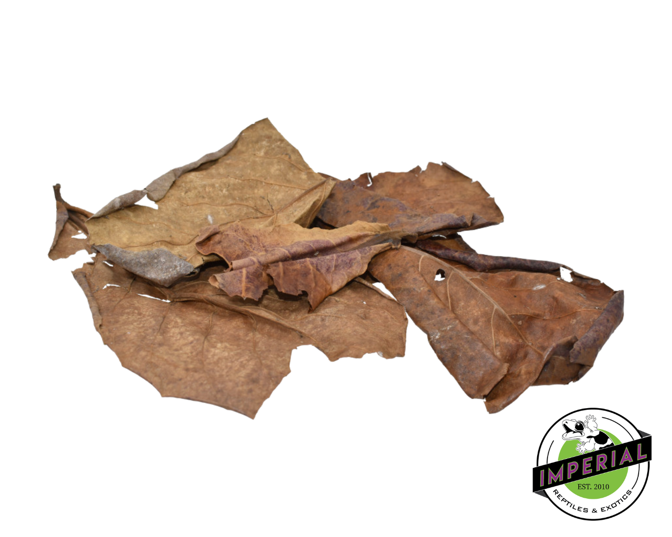 Komodo Dried Oak Leaves for sale, reptiles supplies for sale, buy reptile supplies online, buy reptiles online