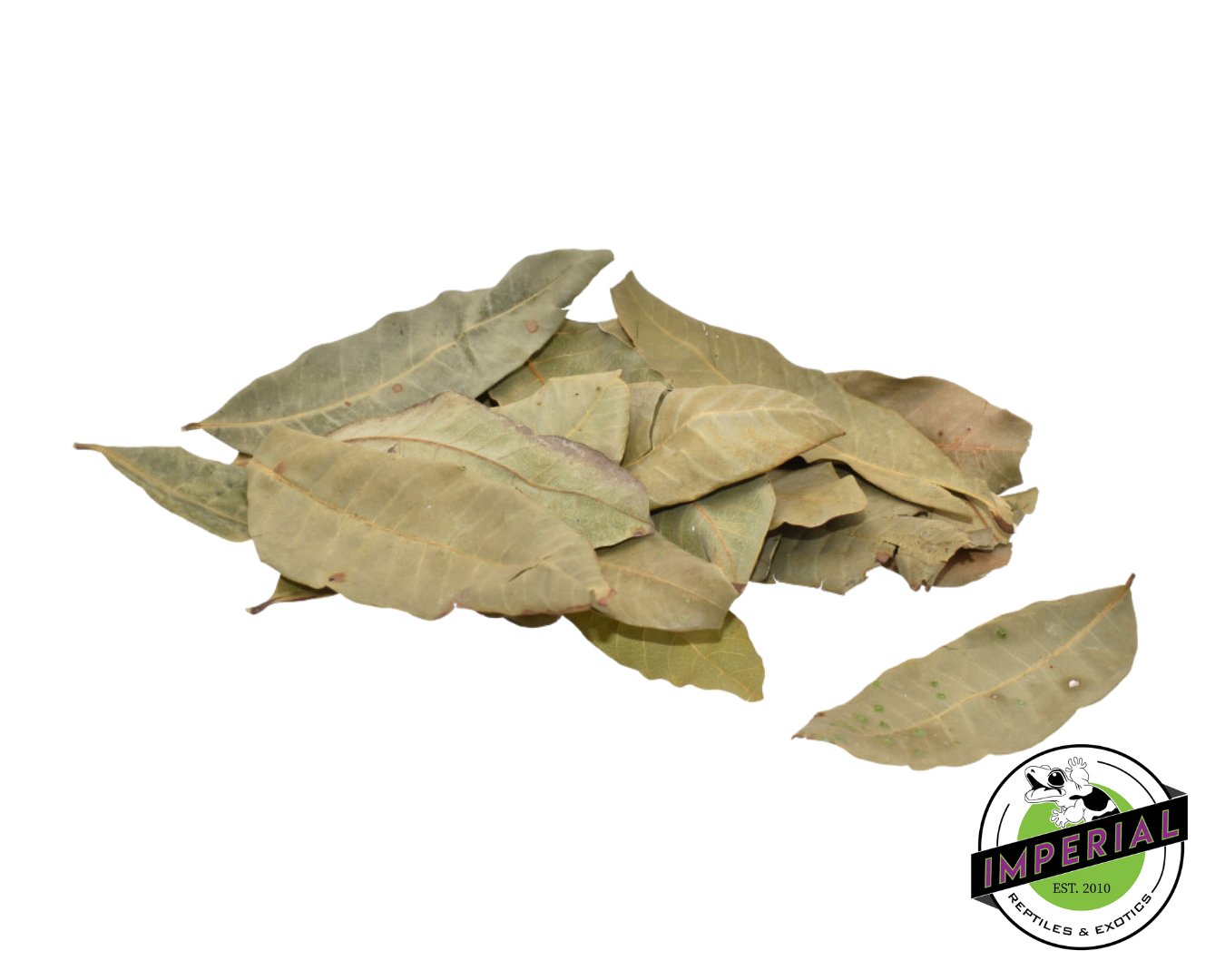 Komodo Longan Leaves for sale, reptile supplies for sale, buy reptiles online
