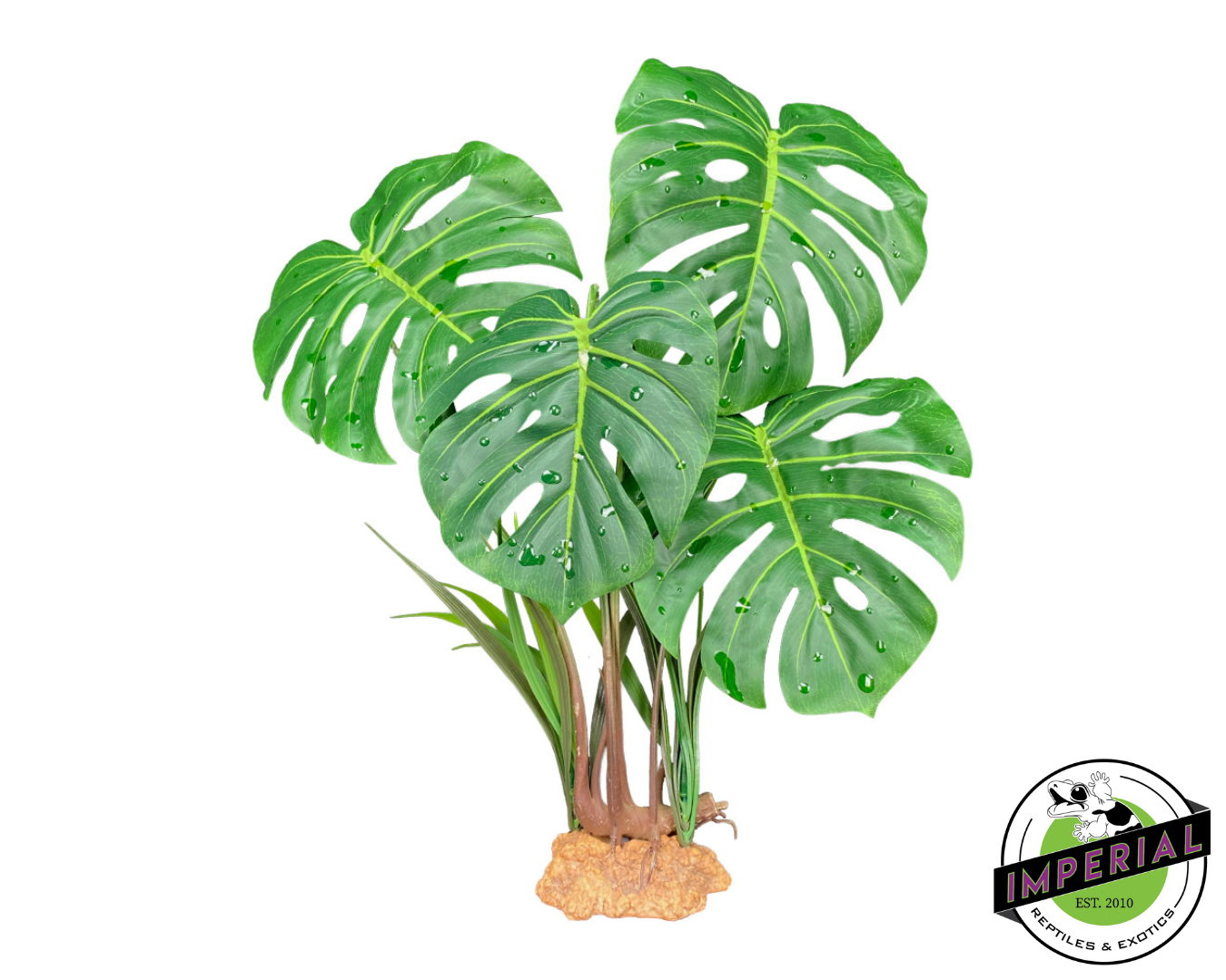 Komodo Monstera Leaf Plant for sale, buy reptile supplies online, supplies for sale, reptiles for sale, buy animals online