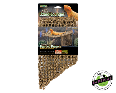 Penn-Plax Corner Lizard Lounger for sale, reptile supplies for sale, buy reptile supplies online, buy reptiles online, reptiles for sale