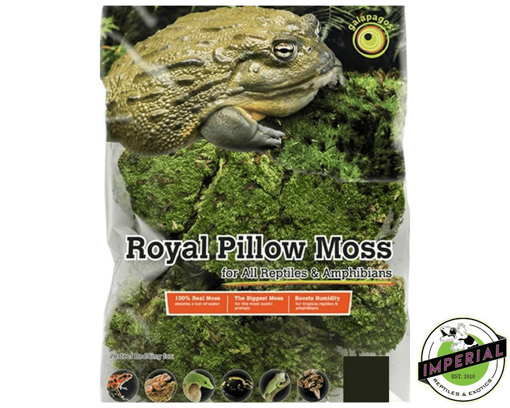 Galapagos Royal Pillow Moss - 8 qt