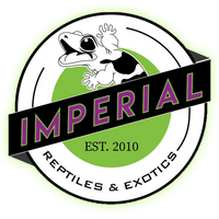 Imperial reptiles and exotics online reptile store, buy exotic pets for sale online at cheap prices