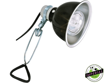 reptile clamp lamp for sale online, buy cheap reptile supplies near me