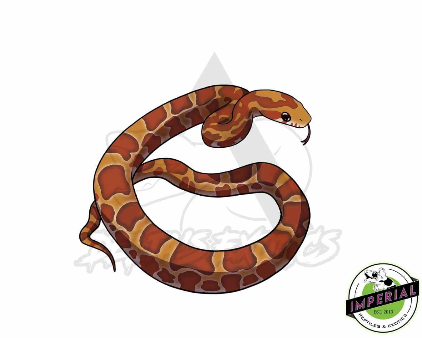 buy unique reptile stickers online at cheap prices. water proof reptile stickers for notebooks, laptops, phone cases, and more