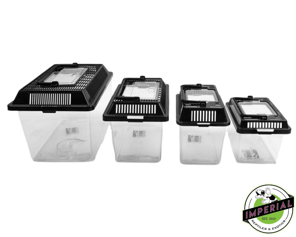 Critter Keeper For Sale Imperial Reptiles – IMPERIAL REPTILES