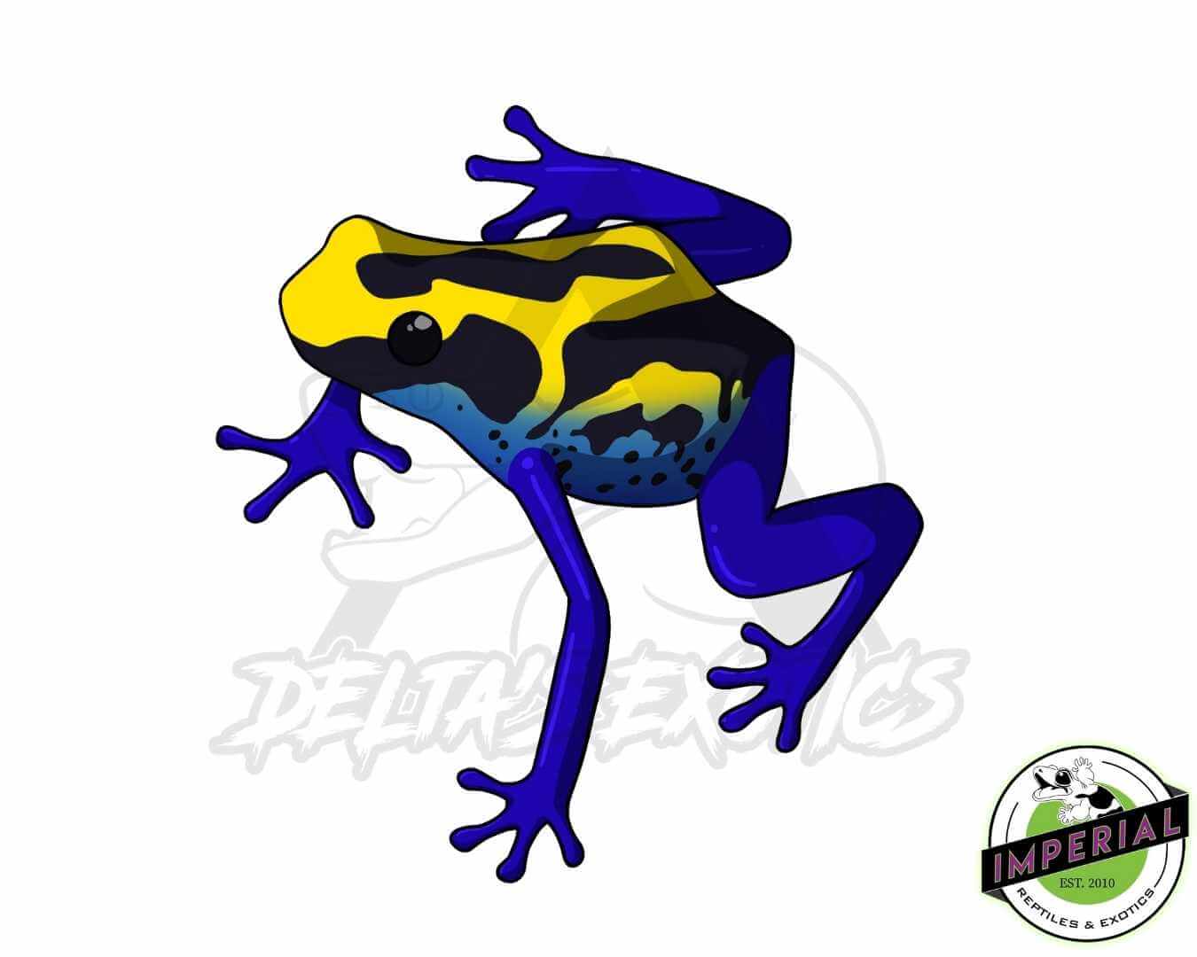 buy unique reptile stickers online at cheap prices. water proof reptile stickers for notebooks, laptops, phone cases, and more