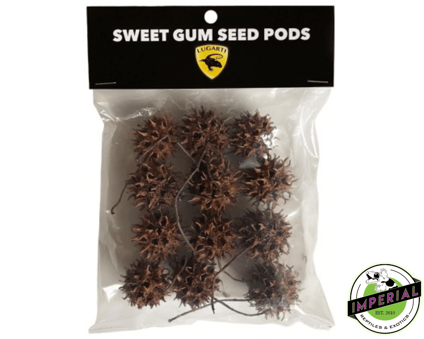 buy gum seed pods for sale online at cheap prices, bio active vivarium supplies