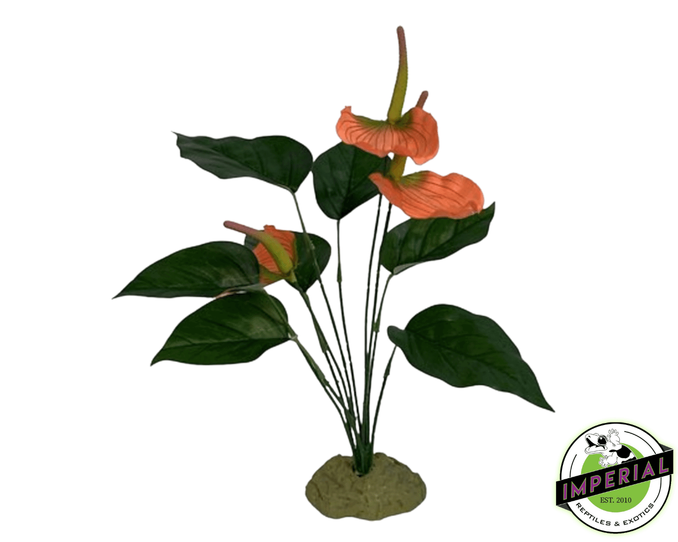 reptile tank plant decorations for sale online. buy cheap reptile foliage 