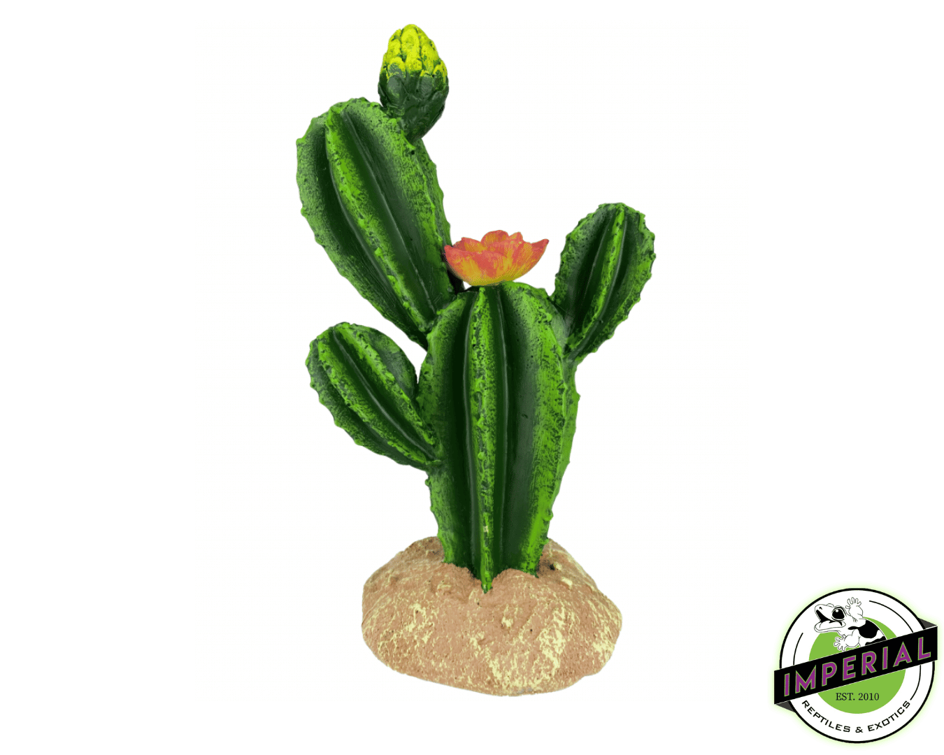 flower cactus plant reptile tank decoration for sale. buy cheap reptile foliage online