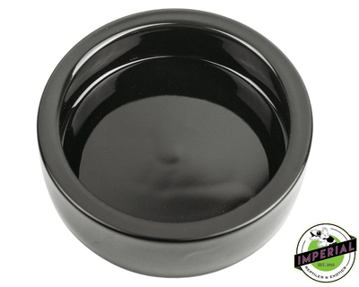 ceramic bowl for water and insects for sale online at cheap prices. These dishes are easily cleaned and perfect for reptile enclosures.