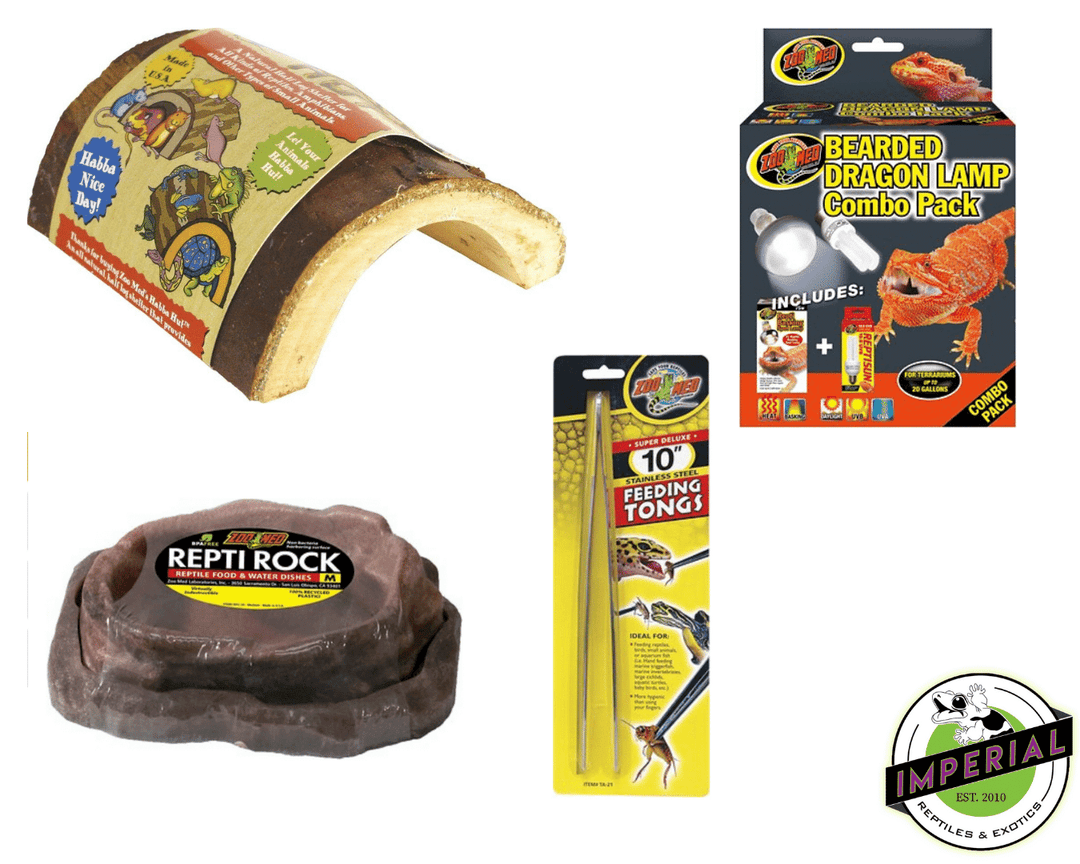 Lizard habitat kit online