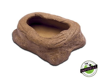 reptile mealworm feeder worm dish for sale online, buy cheap reptile supplies near me