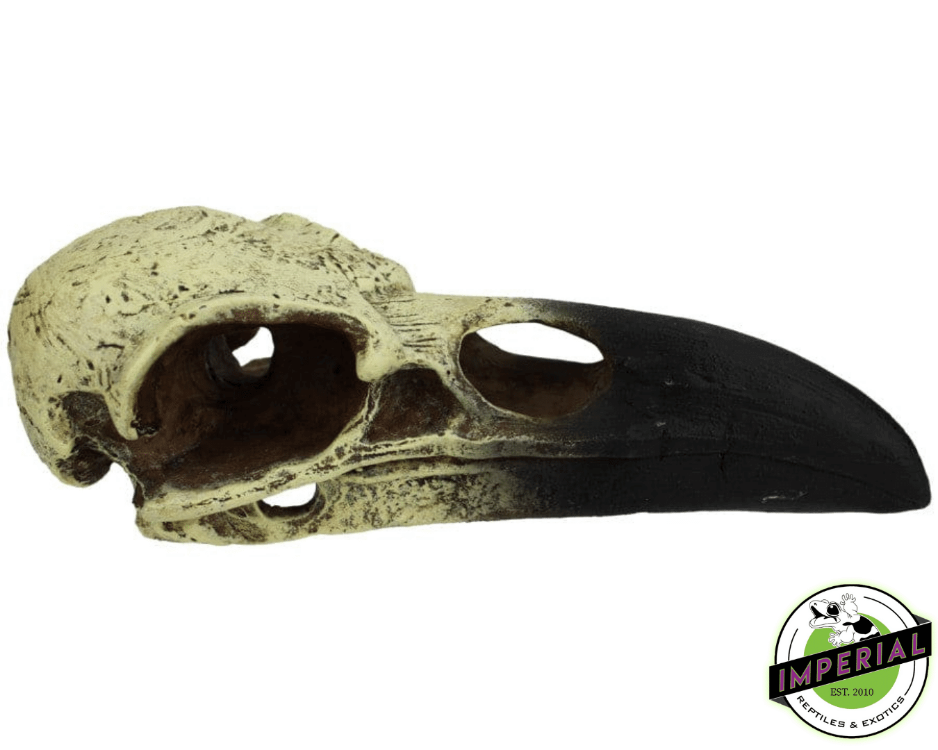 raven skull hide for sale online, buy reptile supplies near me