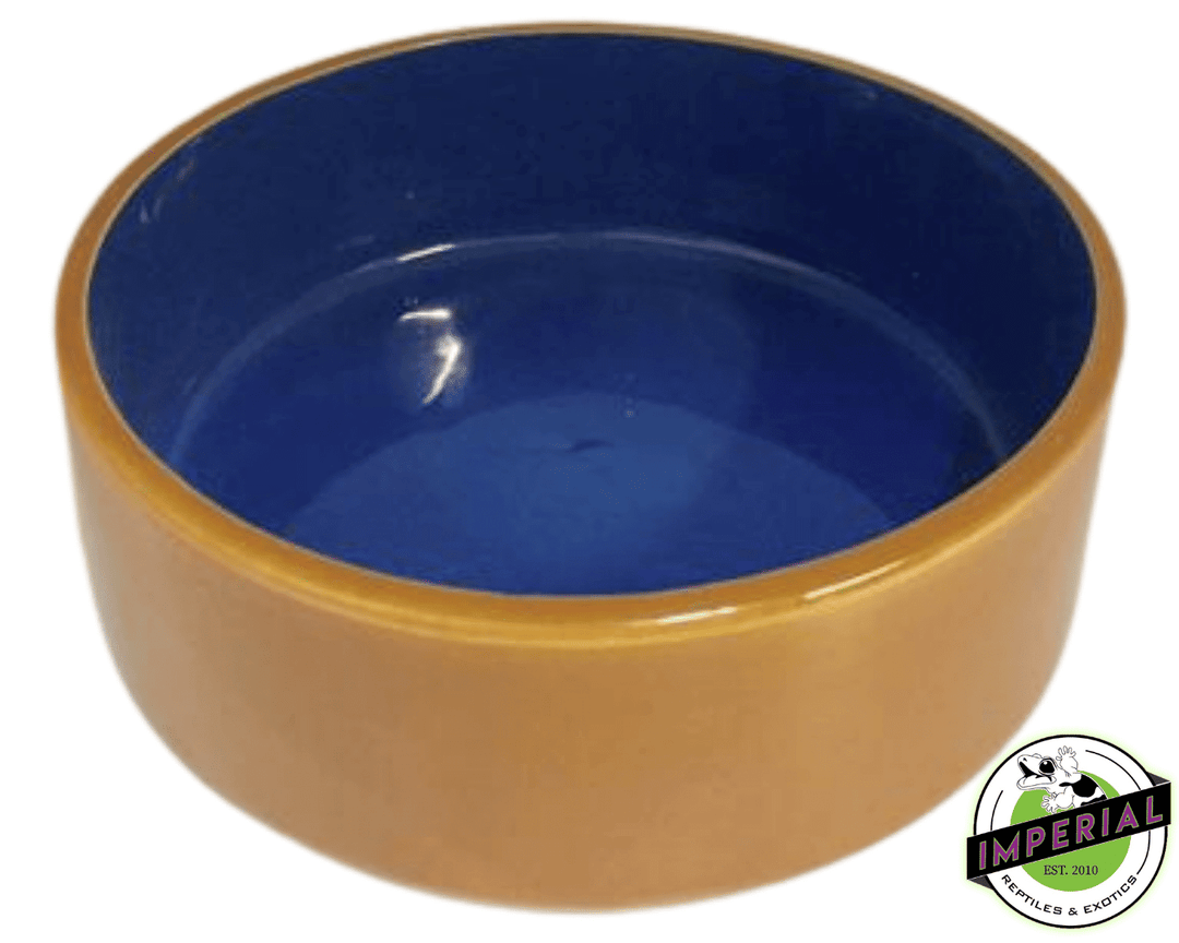 Ceramic water dish best sale