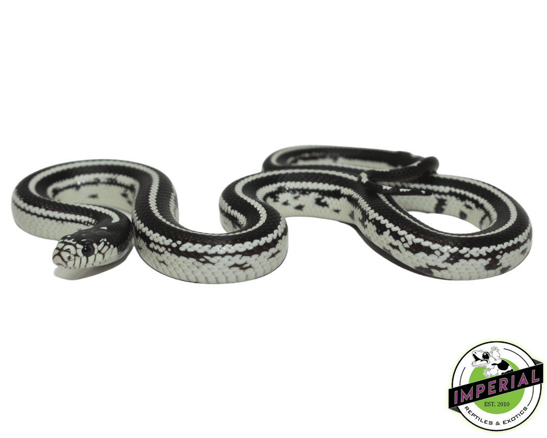 striped-cal-king-for-