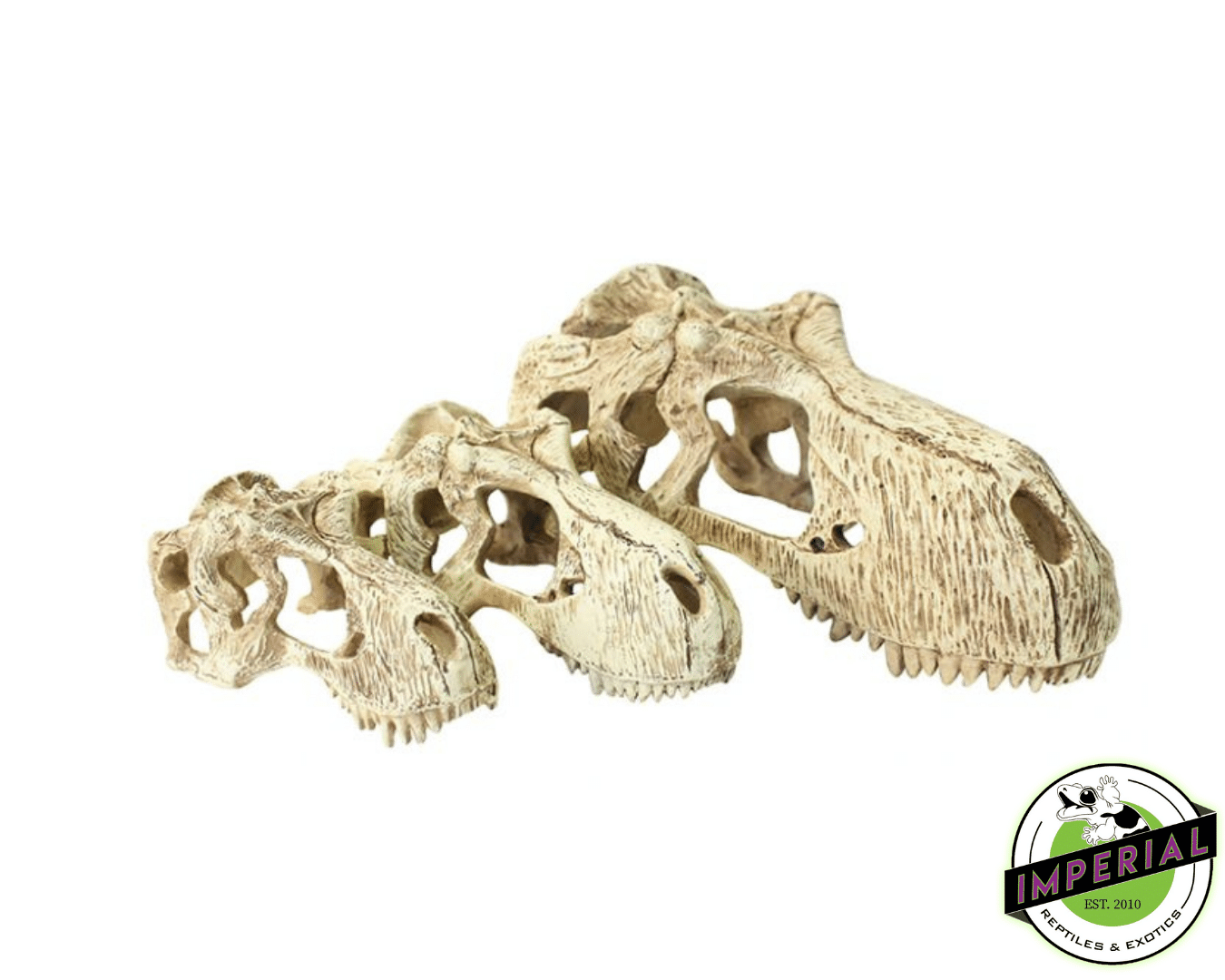 Komodo T-Rex Skull Hideout