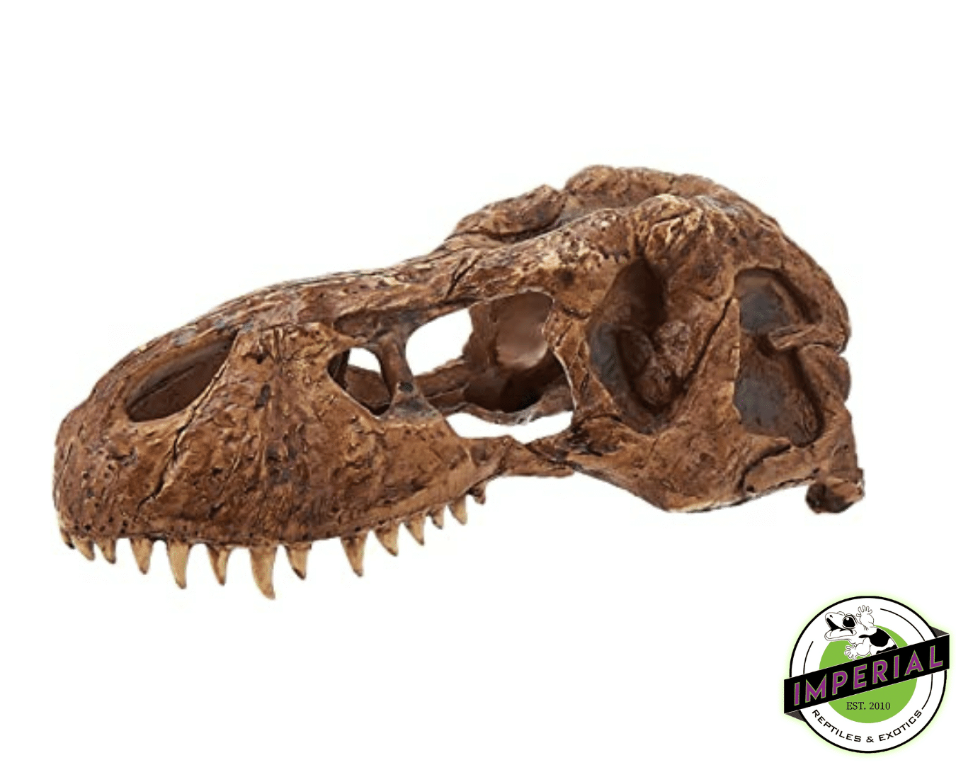 buy reptile t rex skull hide tank decoration for sale online. buy cheap reptile supplies